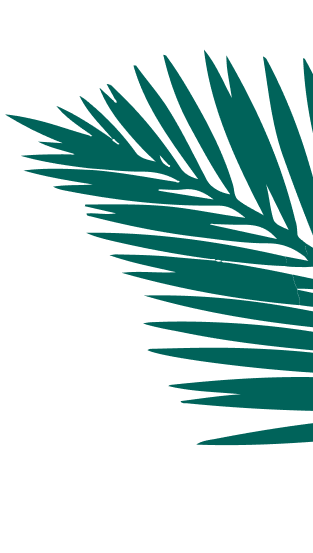 Rechtsboven afbeelding