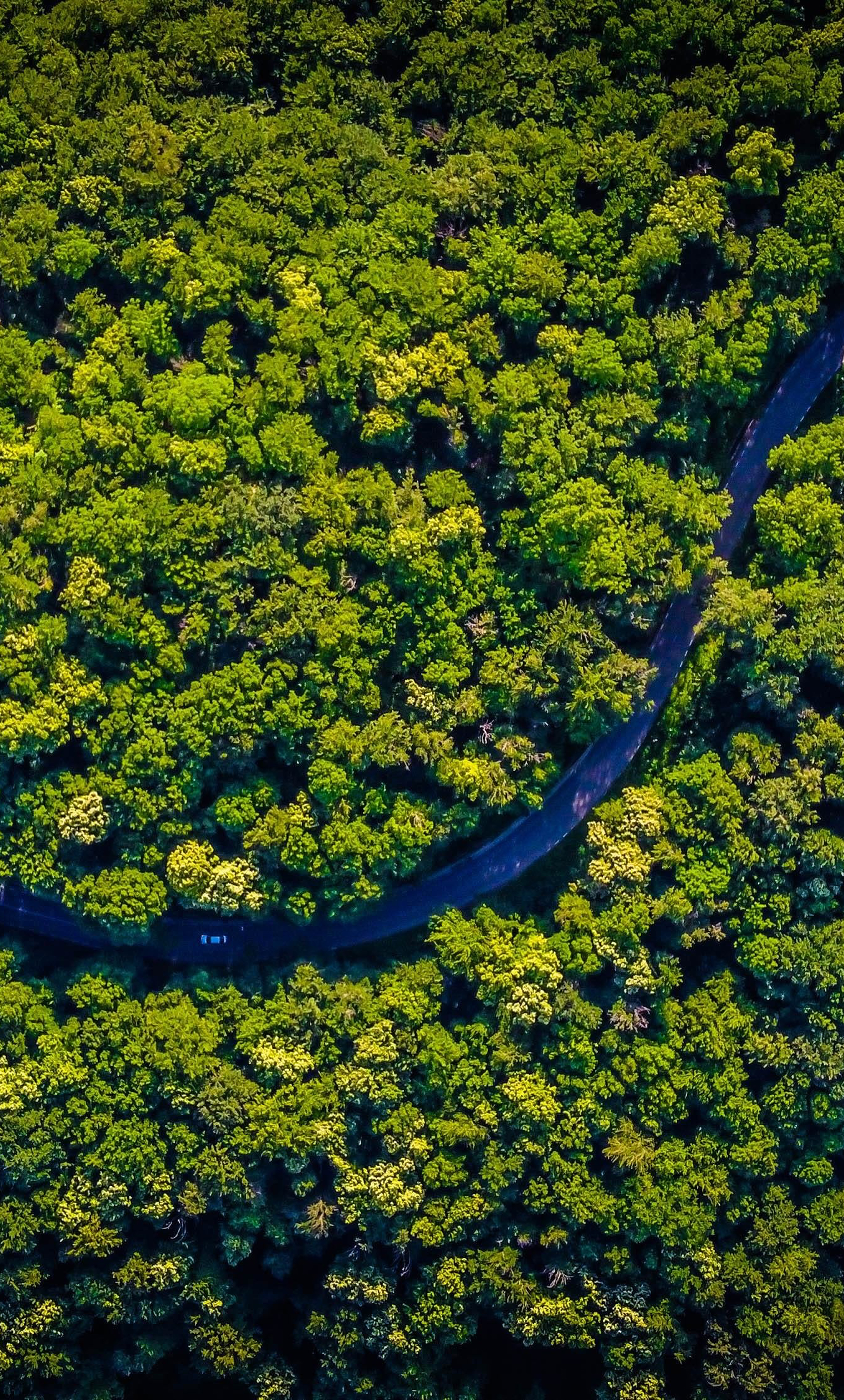 content block main image