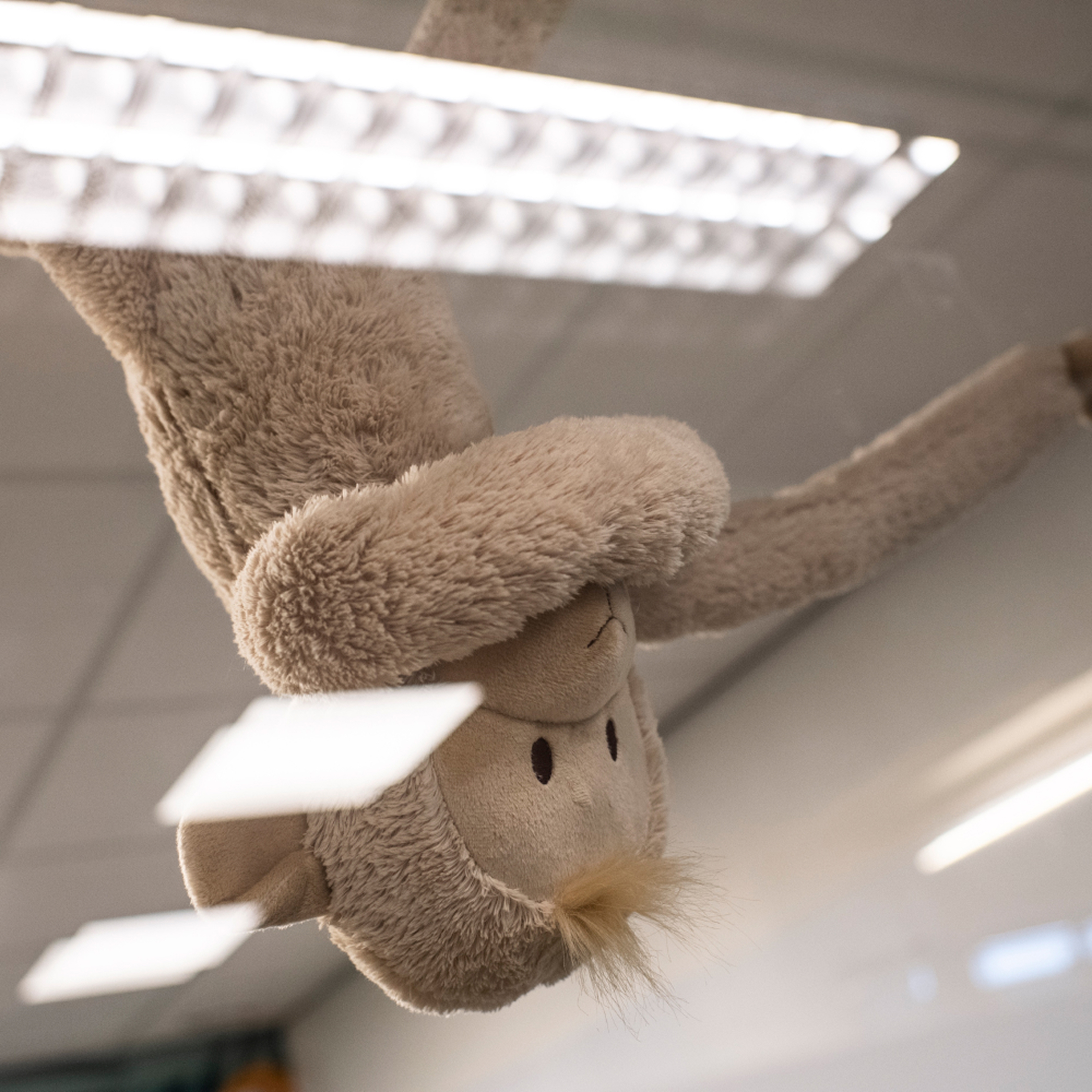 content block main image